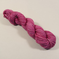Anzula Squishy Skeinettes - Farbe: Mulberry