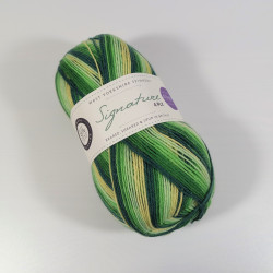 WYS Signature 4ply - Spring Green