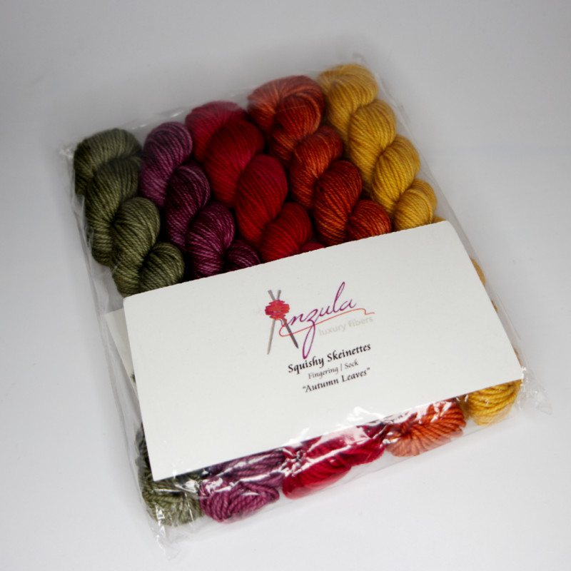 Anzula Squishy Skeinettes - Autumn Leaves