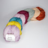 Anzula Squishy Skeinettes - Zinnia Fields Anzula Squishy Skeinettes - Zinnia Fields