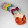 Anzula Squishy Skeinettes - Zinnia Fields Anzula Squishy Skeinettes - Zinnia Fields