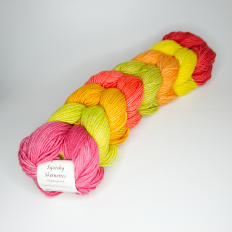 Anzula Squishy Skeinettes - Bird of Paradise Anzula Squishy Skeinettes - Bird of Paradise