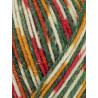 WYS Signature 4ply Sparkle Yuletide Detail
